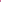 Witty in Pink