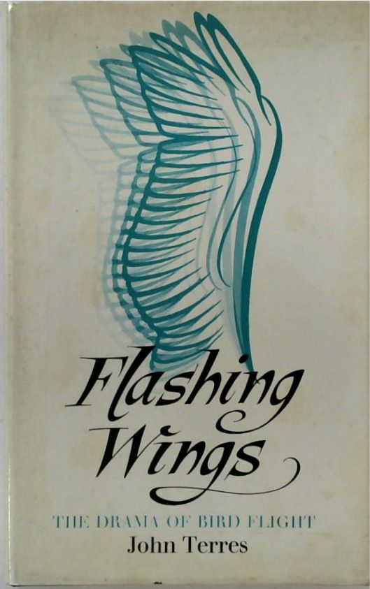 Flashing Wings: The Drama of Bird Flight