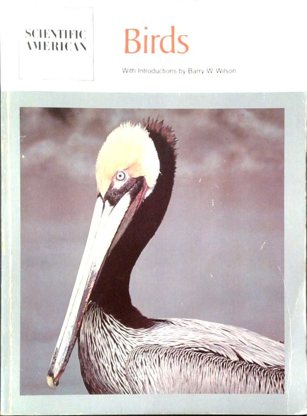 Birds: Readings from the Scientific American