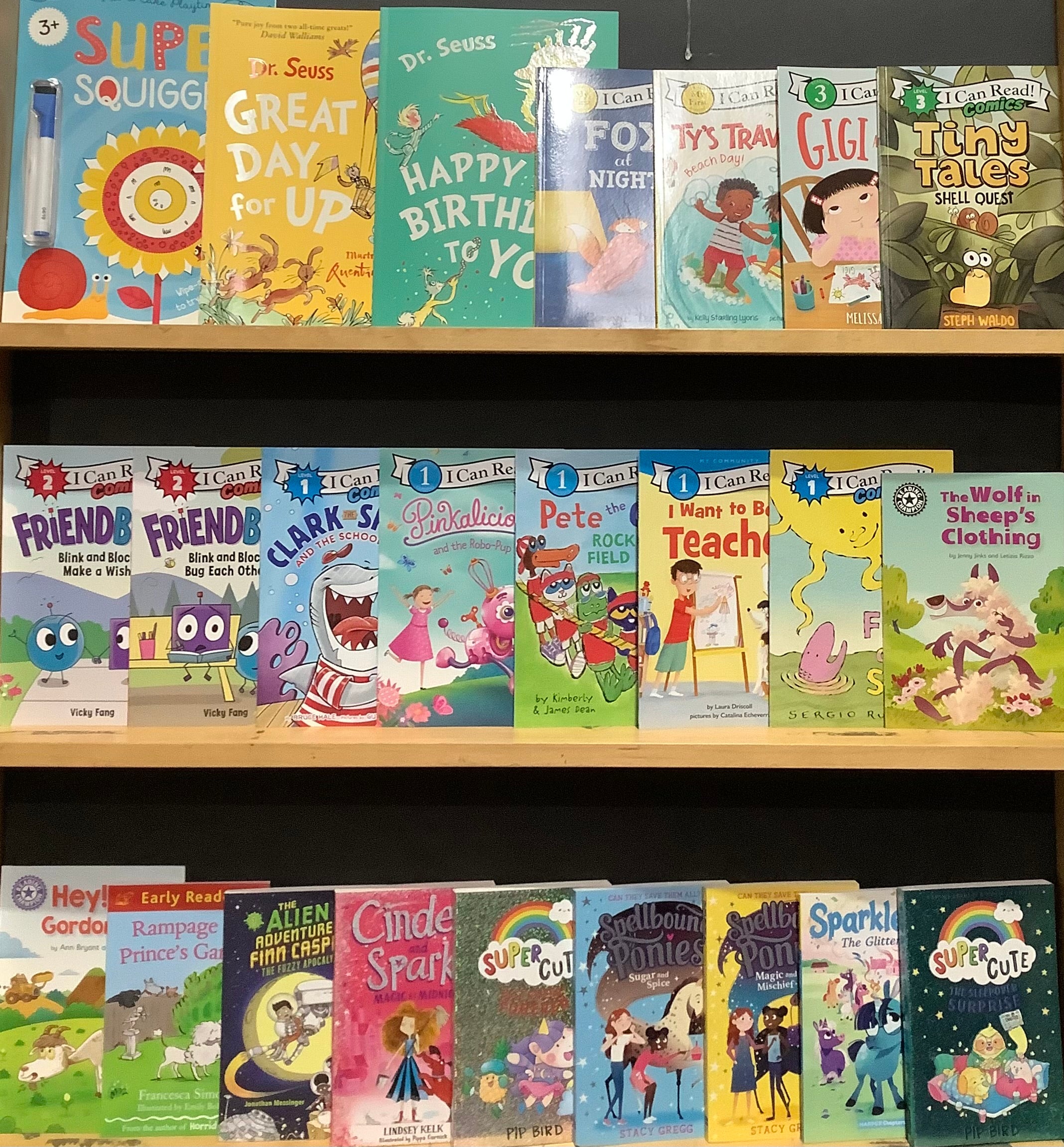 Early Learning Reader, Phonics & Writing Bargain Book Box Book Grocer