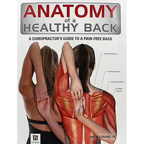 Anatomy of a Healthy Back