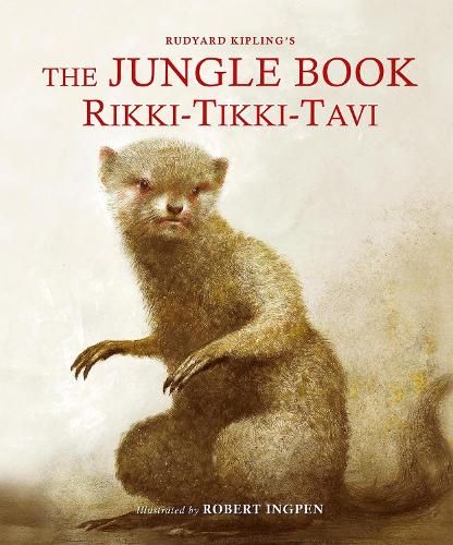 The Jungle Book: Rikki Tikki Tavi (Picture Hardback)