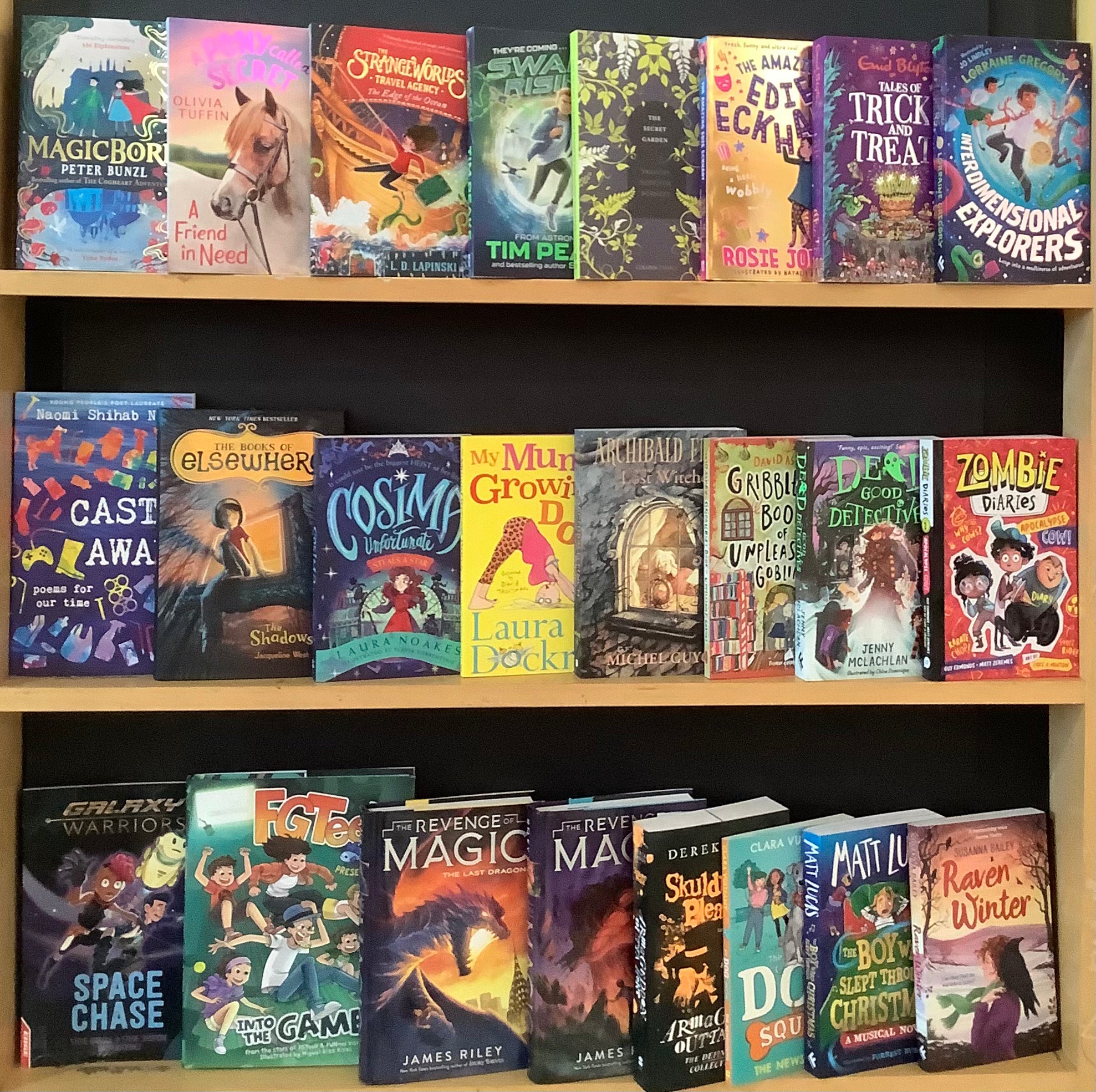 Chapter Book Thrills & Spills (Age 812) Bargain Book Box Book Grocer