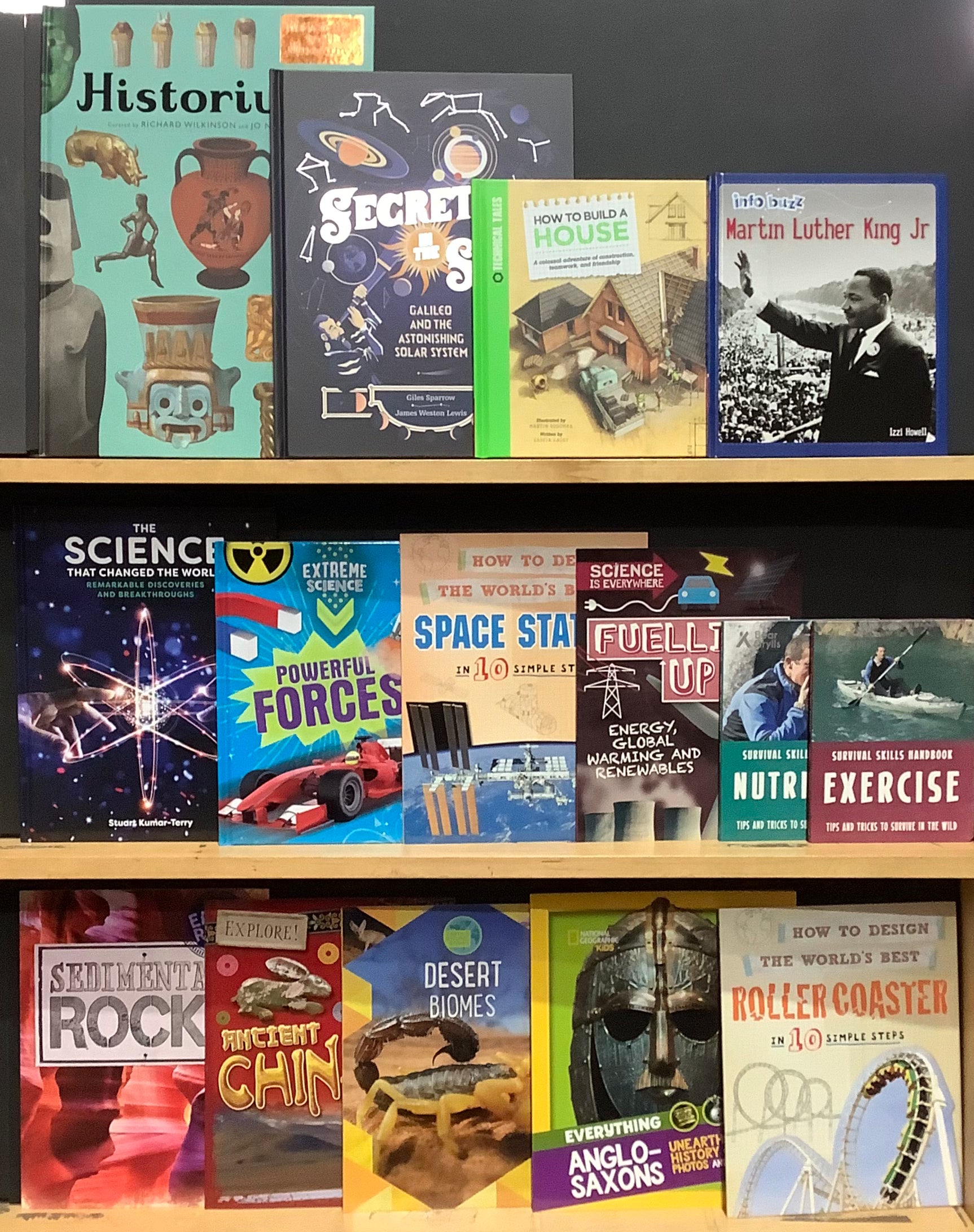 Childrens Educational Bargain Book Box (Age 813) Book Grocer