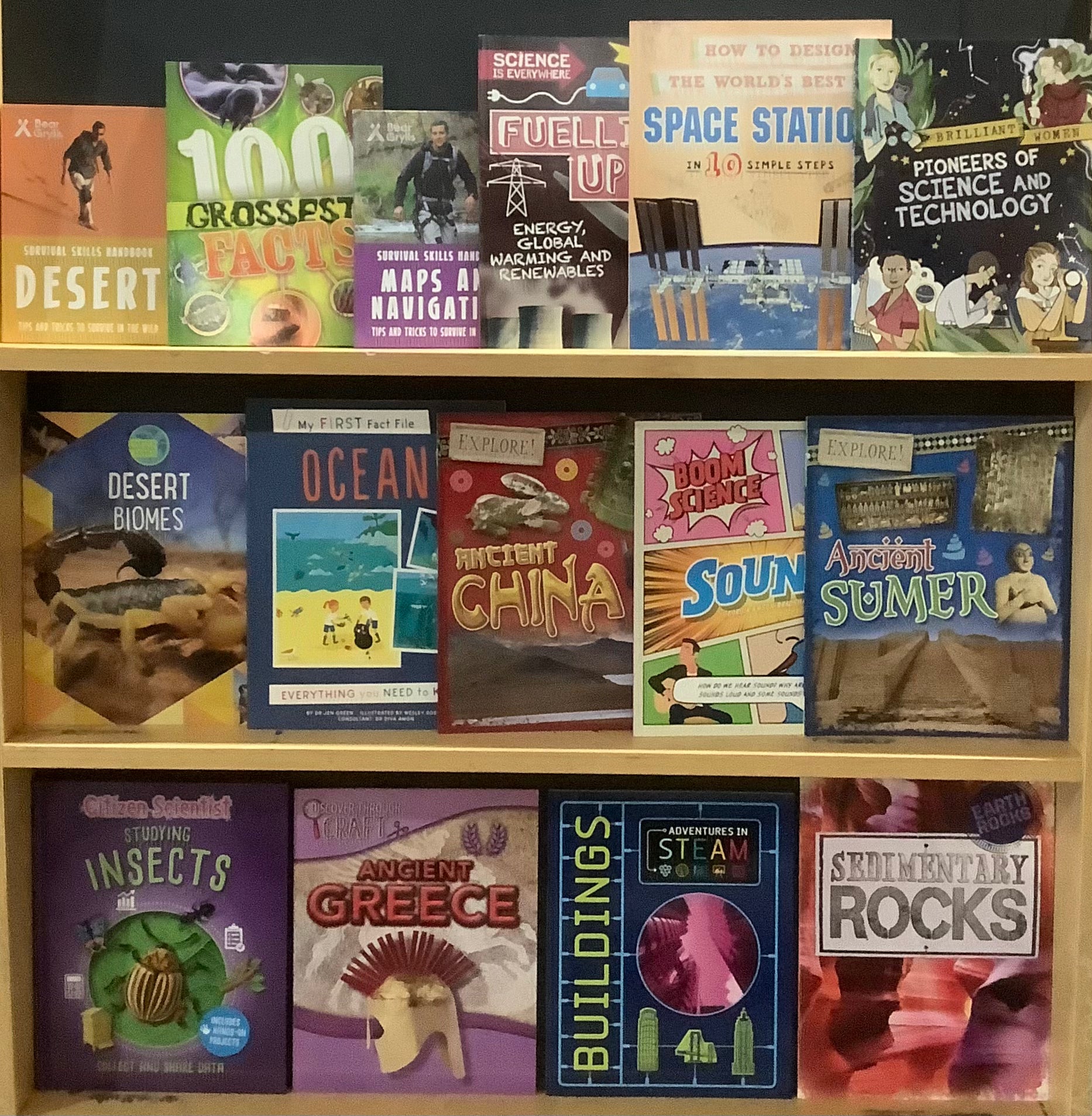 Childrens Educational Bargain Book Box (Age 813) Book Grocer