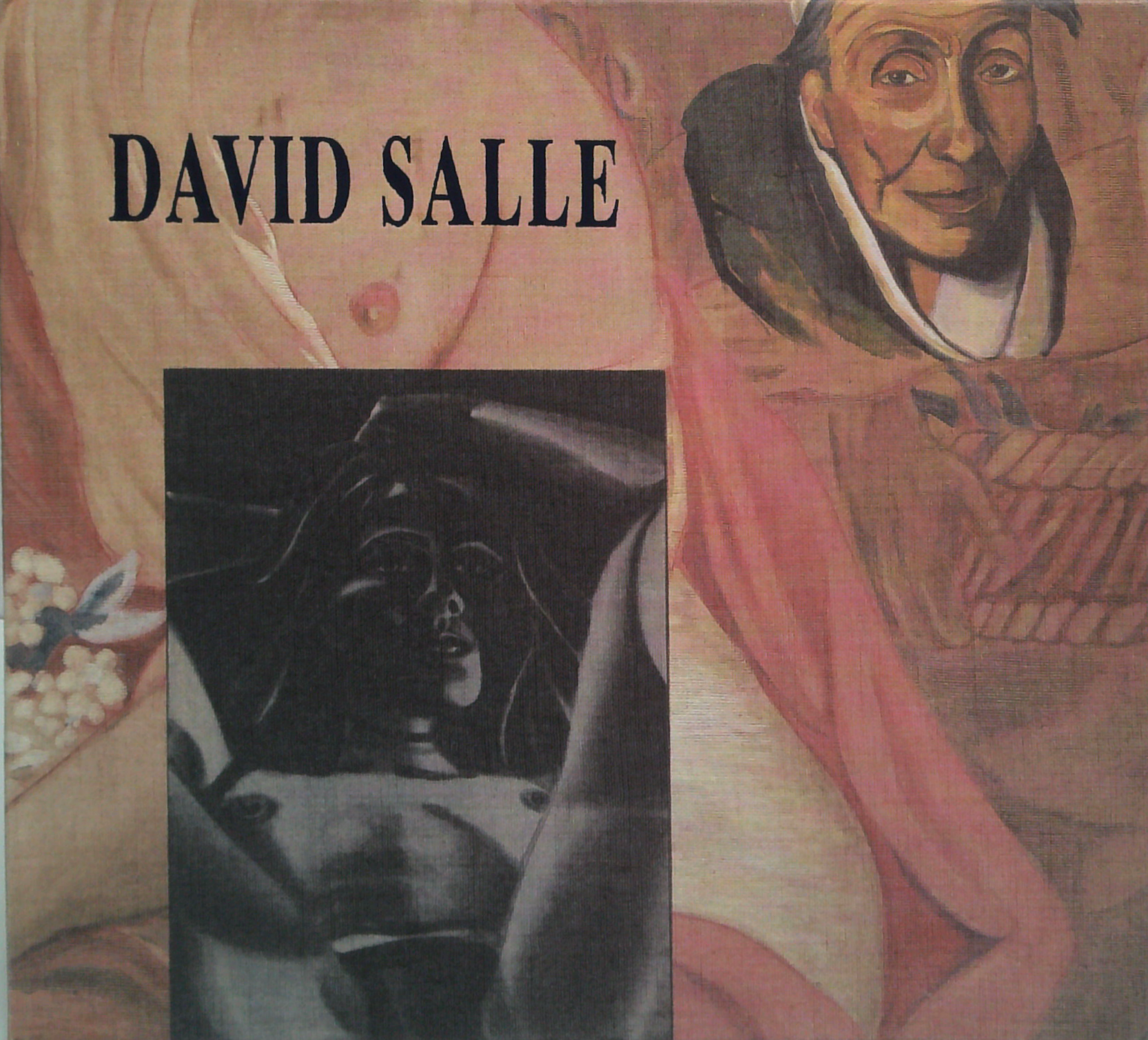 <洋書> David Salle Immediate Experience David Salle – Book Grocer