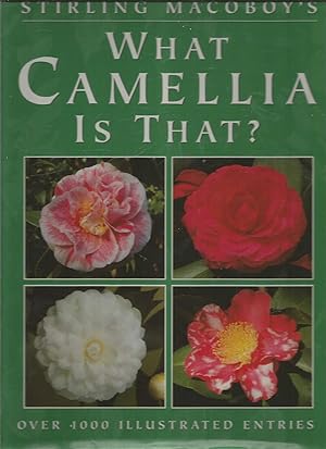 What Camellia is That?