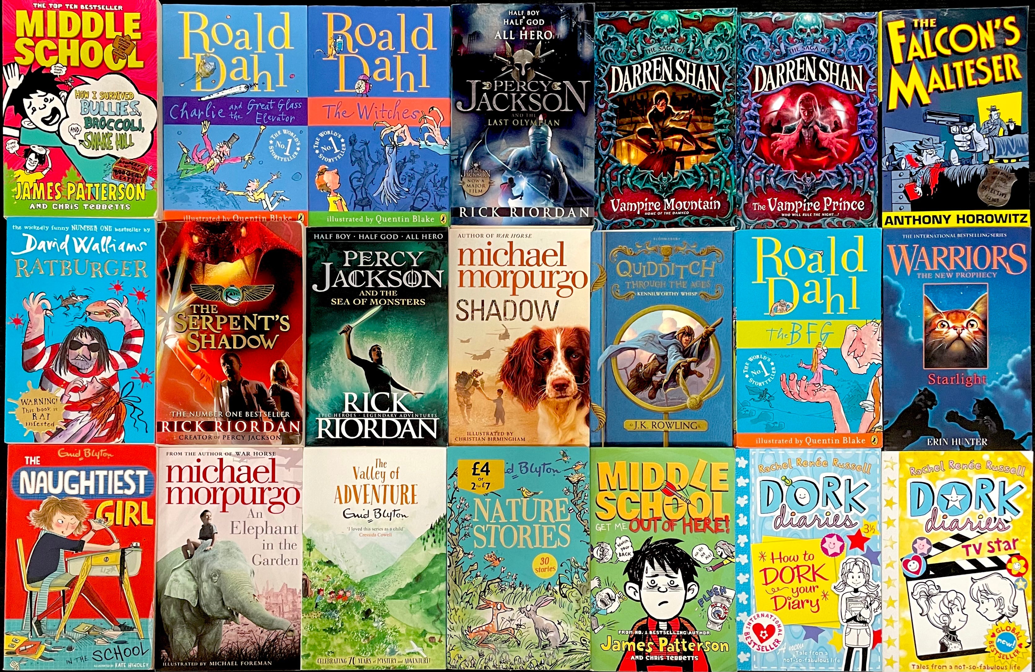 Secondhand Chapter Book (Age 8-12) Bargain Book Box SP4020 – Book