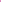 Hummingbird Salamander