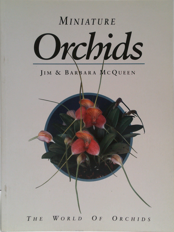Miniature Orchids