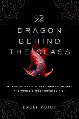 Dragon Behind the Glass