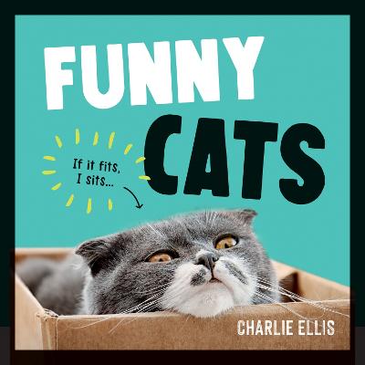 Funny Cats: A Hilarious Collection of the World's Funniest Felines and Most Relatable Memes