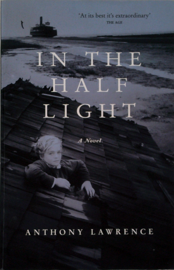 In The Half Light: A Novel
