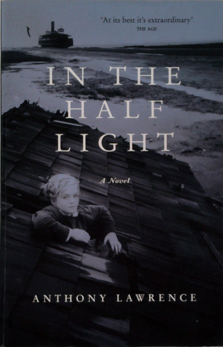 In The Half Light: A Novel