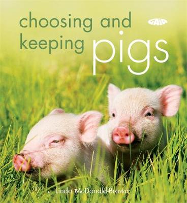 Choosing and Keeping Pigs
