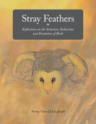 Stray Feathers: Reflections on the Structure, Behaviour and Evolution