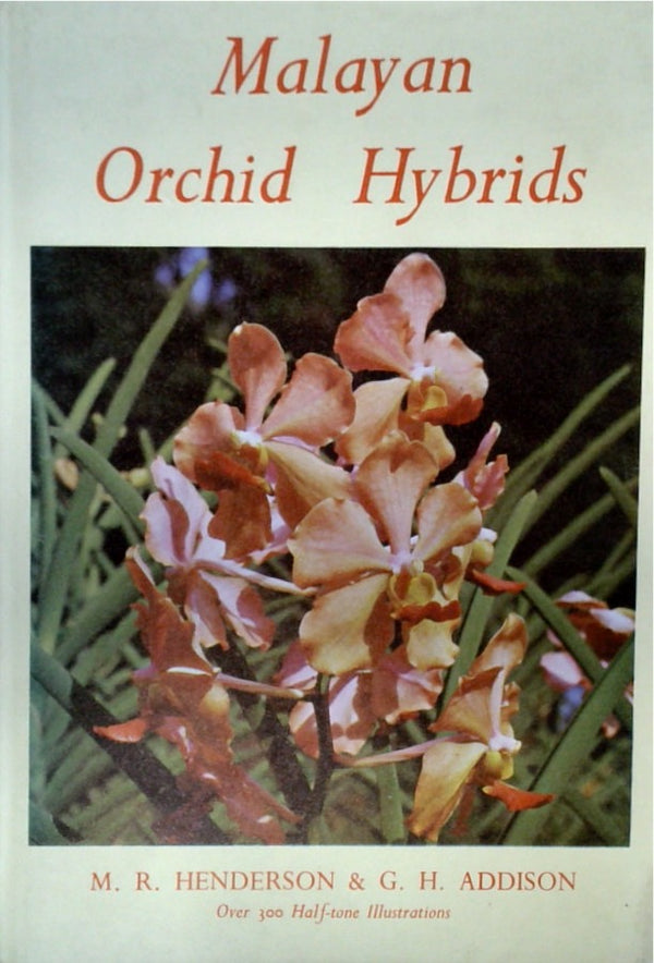 Malayan Orchid Hybrids