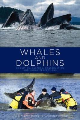 Whales and Dolphins: Cognition, Culture, Conservation and Human