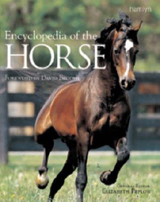 Encyclopedia of the Horse