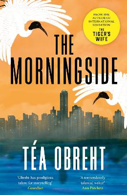 The Morningside: Longlisted for the Climate Fiction Prize