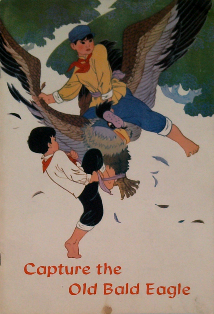 Capture The Old Bald Eagle