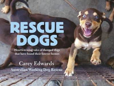 Rescue Dogs: Heartwarming tales of dumped dogs that have found their