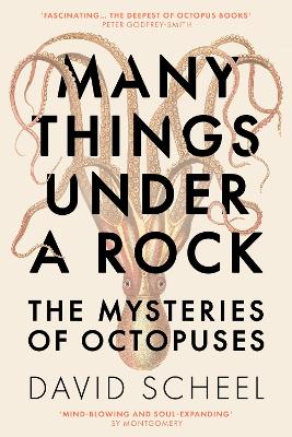 Many Things Under a Rock: The 'mind-blowing' book that reveals the mysteries of the octopus