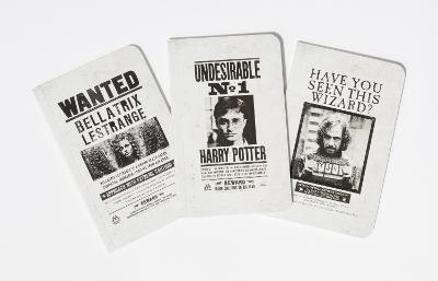 Harry Potter: Wanted Posters Pocket Journal Collection: Set of 3