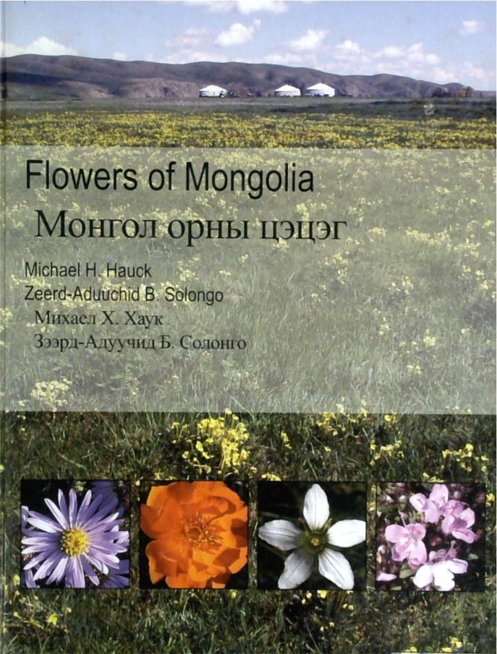 Flowers of Mongolia