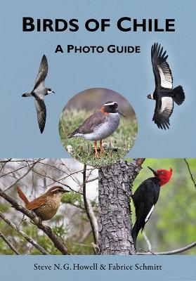 Birds of Chile: A Photo Guide