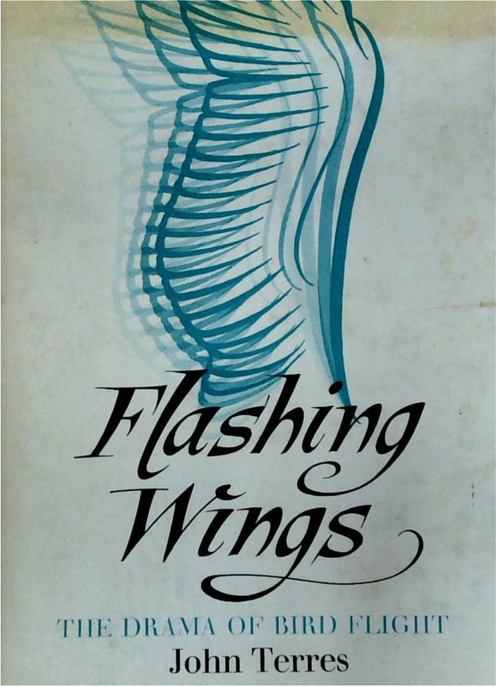 Flashing Wings: The Drama of Bird Flight