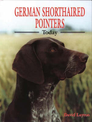German Shorthaired Pointers Today