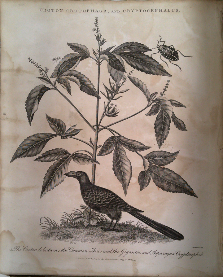 Encyclopædia Londinensis; Or, Universal Dictionary Of Arts, Sciences, And Literature.