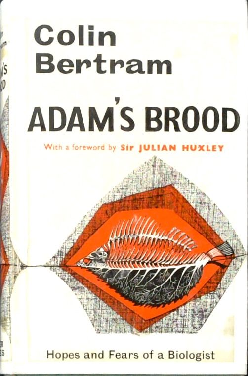 Adam's Brood