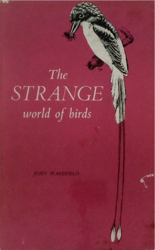 The Strange Worlds of Birds
