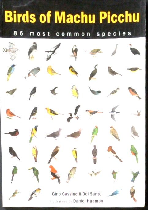 Birds of Machu Picchu: 86 Most Common Species