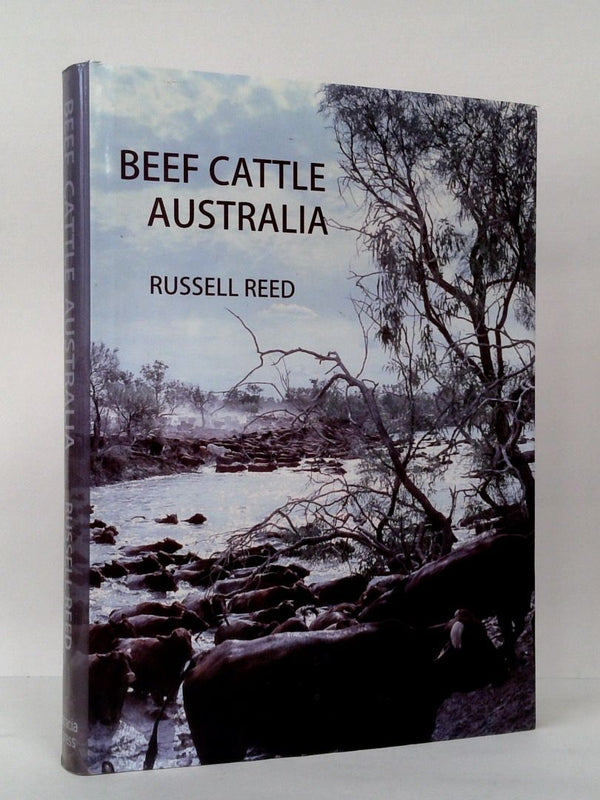 Beef Cattle Australia