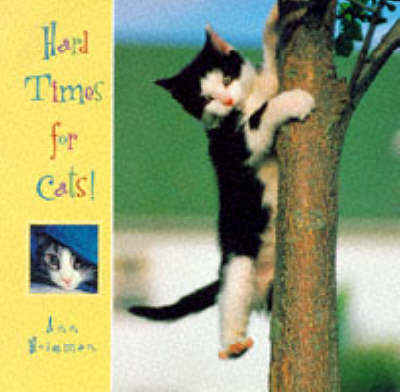 Hard Times for Cats