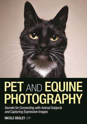 Pet and Horse Photography For Everybody