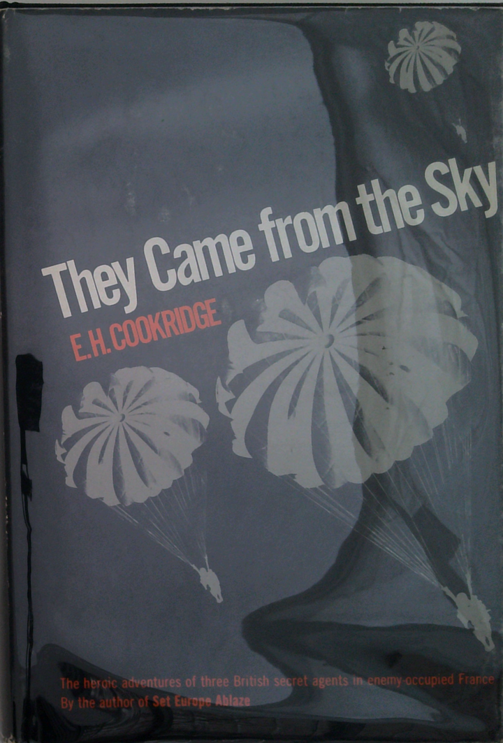 They Came From The Sky