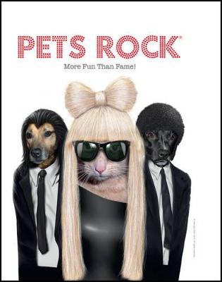 Pets Rock: More Fun Than Fame!