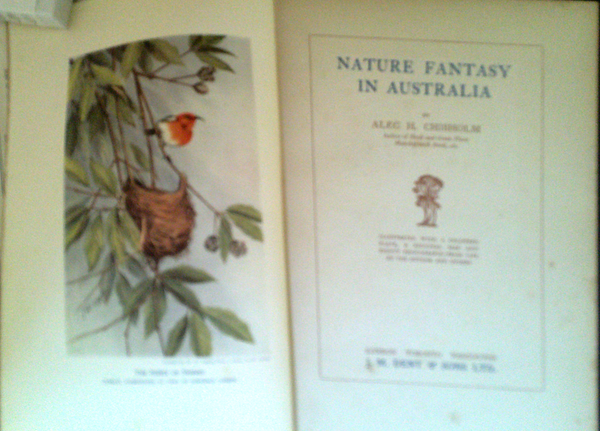 Nature Fantasy In Australia