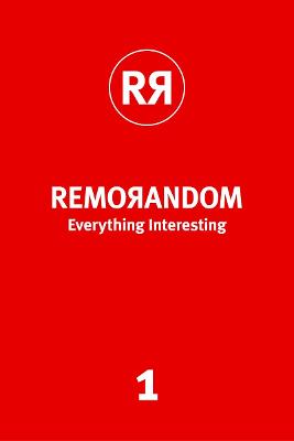 REMORANDOM, Everything Interesting 1