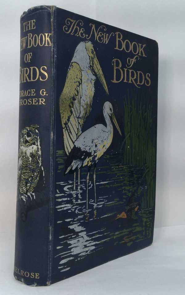 The New Book Of Birds: An Album of Natural History