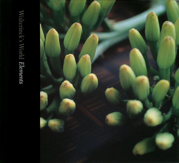 Wolterinck's World Elements