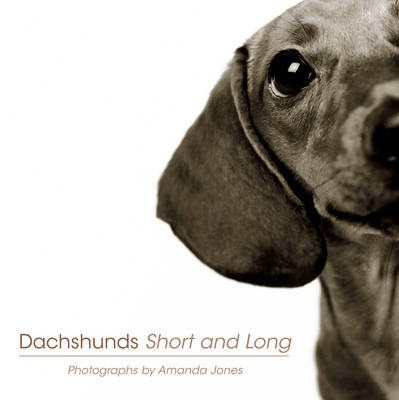 Dachshunds Short And Long