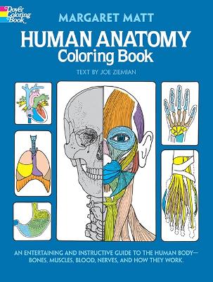 Human Anatomy: Coloring Book
