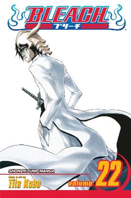 Bleach, Vol. 22: Volume 22