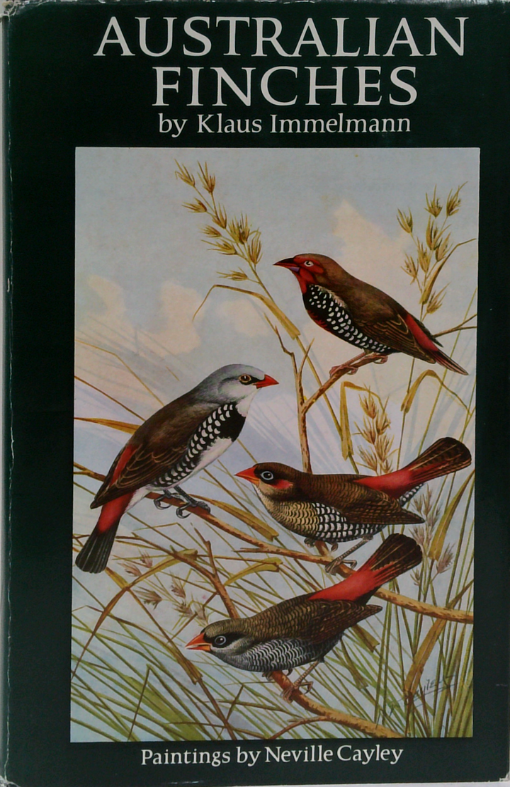 Australian Finches In Bush And Aviary