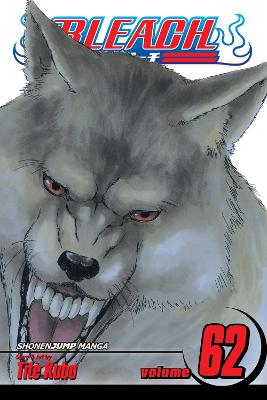 Bleach, Vol. 62: Volume 62